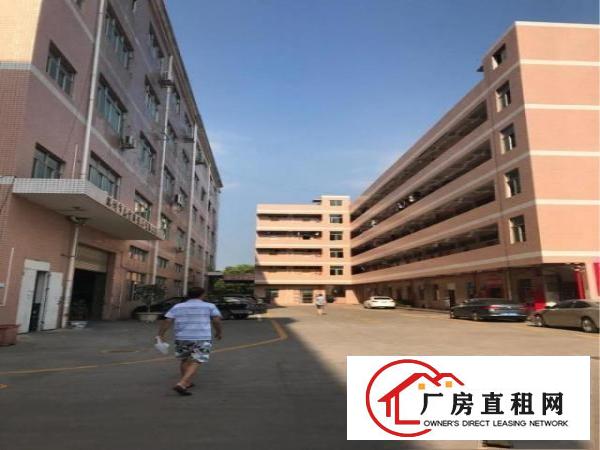 
		龙岗龙西一楼标准厂房1000平方米出租，带装修
	