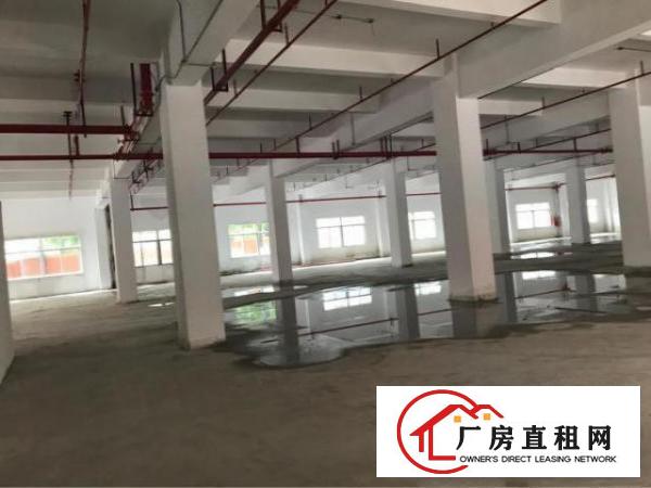 
		龙岗龙西一楼标准厂房1000平方米出租，带装修
	