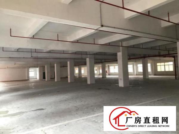 
		龙岗龙西一楼标准厂房1000平方米出租，带装修
	