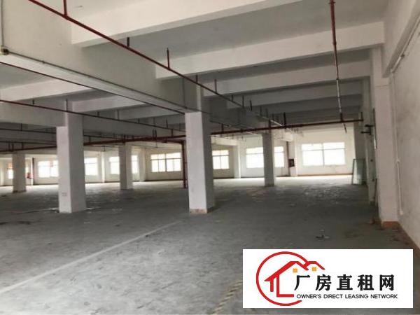 
		龙岗龙西一楼标准厂房1000平方米出租，带装修
	