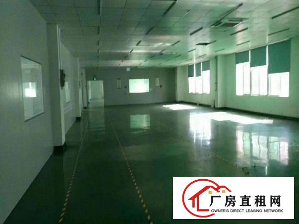 
		龙岗爱联新出原房东厂房2600平米带牛角层高6米
	
