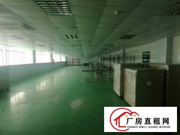 
		龙岗中心城6500平方厂房出租可分租
	