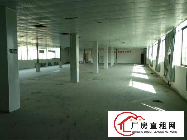 
		龙岗爱联嶂背桥头厂房1000平带装修出租可分租水电齐全
	