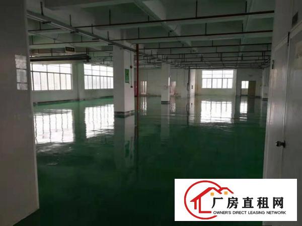 
		龙岗大小厂一楼厂房出租300.500.800.2000平
	