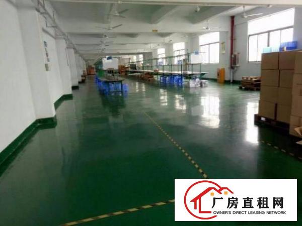 
		龙岗新生业主直租独门独院厂房4800平方大小分租
	