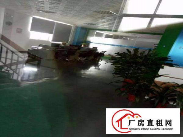 
		龙岗新生业主直租独门独院厂房4800平方大小分租
	