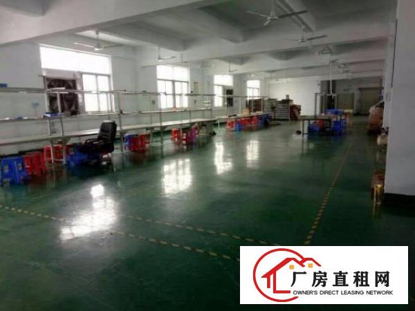
		龙岗新生业主直租独门独院厂房4800平方大小分租
	
