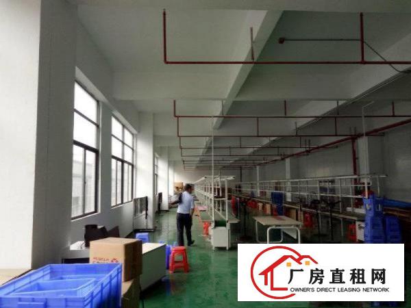
		龙岗宝龙工业园二楼半层带装修办公室有消防700平招租
	