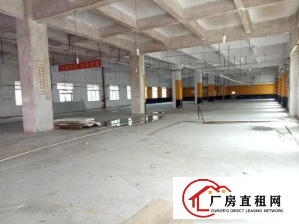 
		龙岗同乐原房东独门独院厂房整栋1000平起火爆招租
	