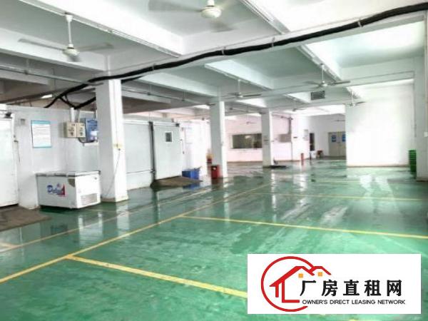 
		龙岗同乐1250平厂房出租带装修带电梯可大小分租
	