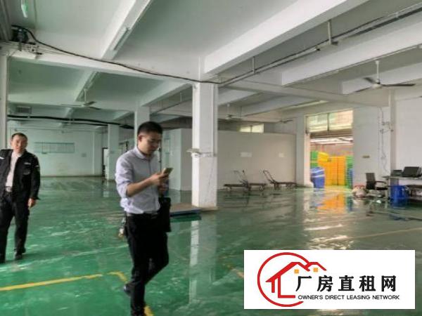 
		龙岗同乐1250平厂房出租带装修带电梯可大小分租
	