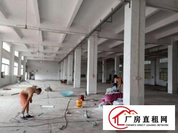 
		龙岗新生一楼1180平二楼560平厂房出租可分租
	
