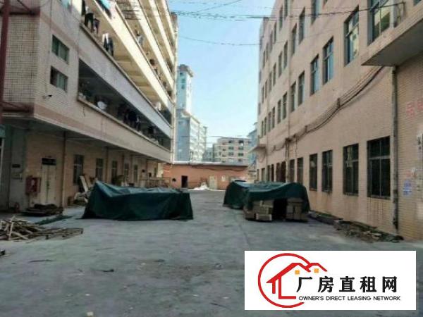 
		龙岗五联独门独院厂房1375平厂房出租，可大小分租
	