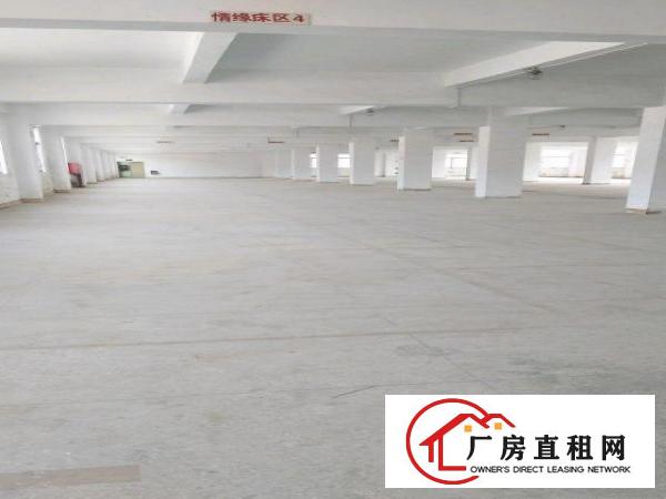 
		龙岗中心城南联工业区厂房招租6000平米
	