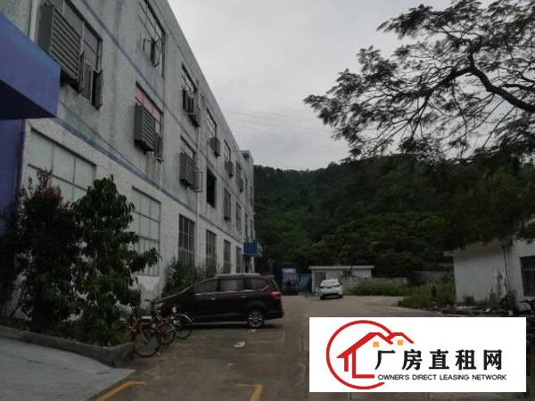 
		四联路小面积550平米一楼
	