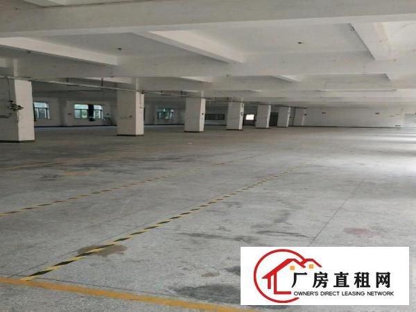 
		龙岗中心城南联工业区独院厂房招租3600平米可分租
	