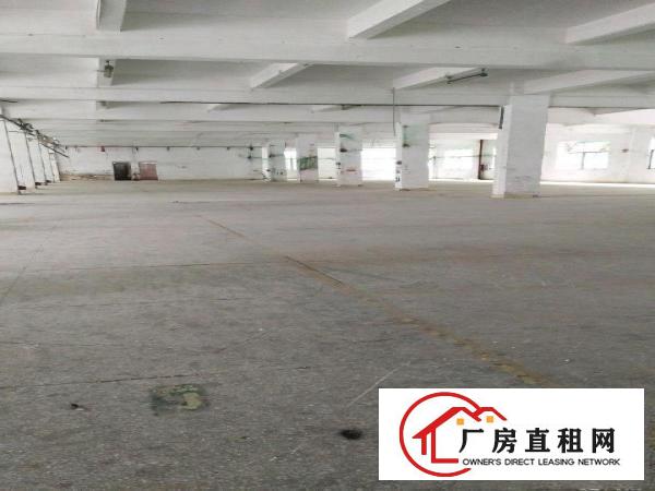 
		龙岗中心城南联工业区独院厂房招租3600平米可分租
	