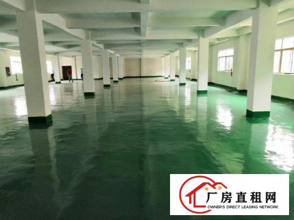
		龙岗中心城龙岗五联厂房1200平米
	
