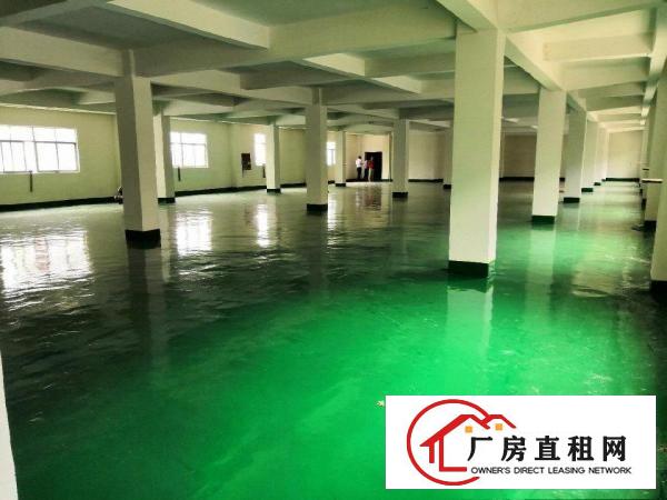 
		龙岗中心城龙岗五联厂房1200平米
	