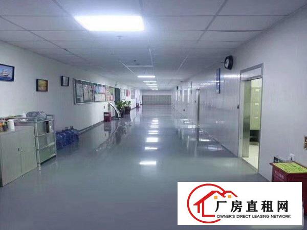 
		深圳龙岗同乐转租1510平现成无尘车间，带装修
	