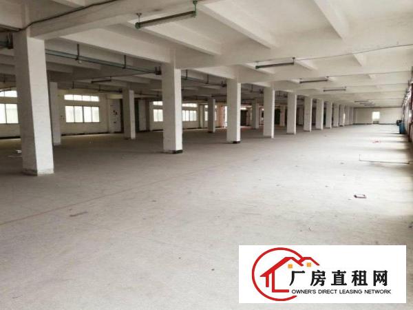 
		107国道边1600平米无尘车间无转让费出租
	