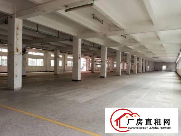 
		107国道边1600平米无尘车间无转让费出租
	