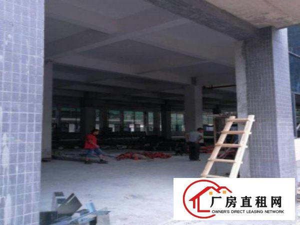 
		村大型工业园楼上2000平方无尘车间无转让费出租
	