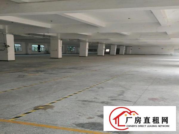 
		龙岗中心城同乐独院厂房4800平米招租可分租
	
