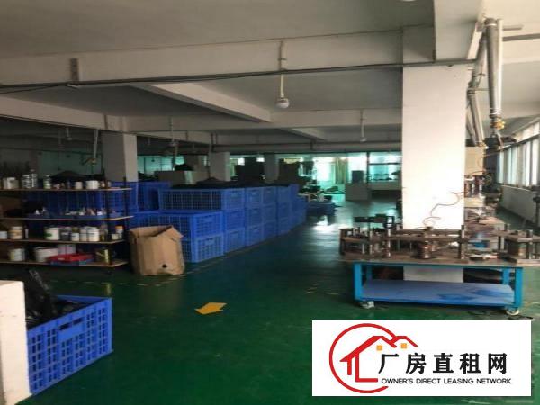
		塘头出租600平米厂房，零公摊无其他费用
	