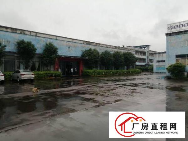 
		临宝安大道500平方厂房，带装修，办公加仓库
	