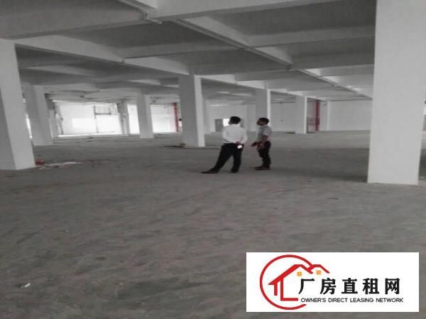 
		附近楼上500平方精装修厂房出租可分租
	