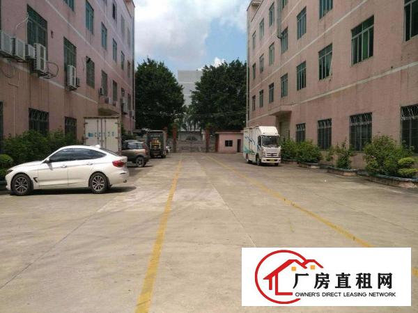 
		龙岗北通道边五联新出900平豪华装修厂房出租,无公摊可分租
	