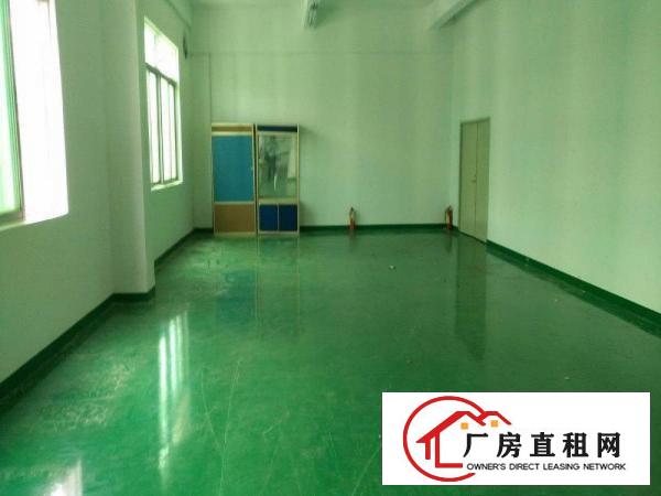
		龙岗北通道边五联新出900平豪华装修厂房出租,无公摊可分租
	