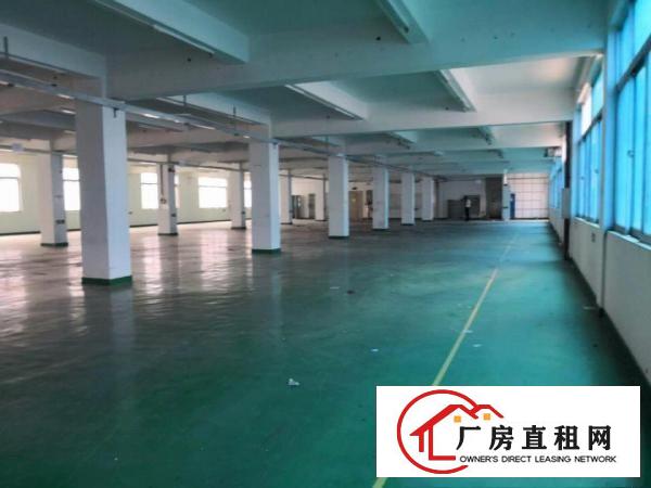 
		龙岗北通道边五联新出900平豪华装修厂房出租,无公摊可分租
	