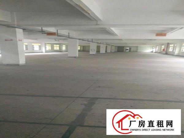 
		龙岗中心城爱联嶂背工业区独院厂房4800平米出租
	