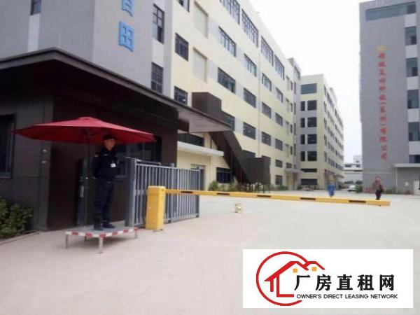 
		107国道黄埔段新出三楼800平带装修厂房出租
	