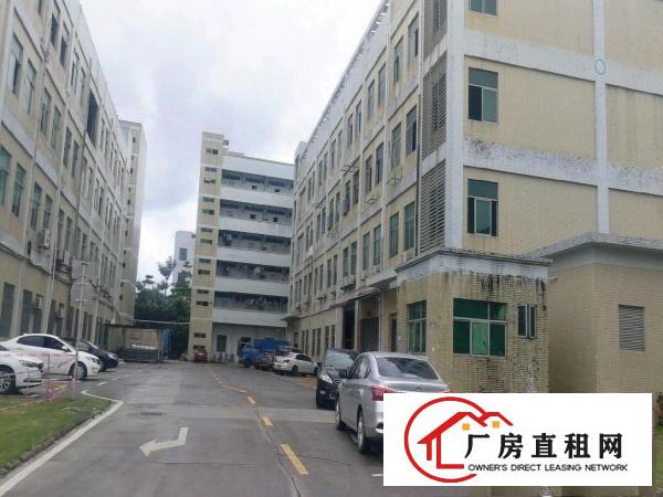 
		龙岗中心城南联地铁旁650平带装修厂房出租！可分租
	