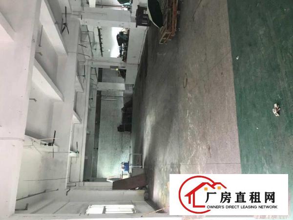 
		出租龙岗区龙岗中心城
	