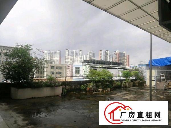 
		龙岗中心城五联路，办公室厂房350平米
	