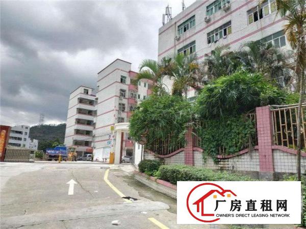 
		龙岗布吉厂房适合做服装、电商、摄影、教育等
	