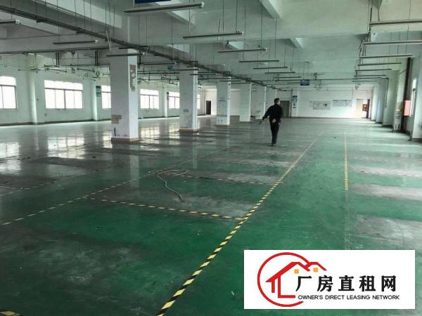 
		同乐原房东红本独院厂房9000平出租
	