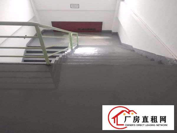 
		同乐原房东红本独院厂房9000平出租
	