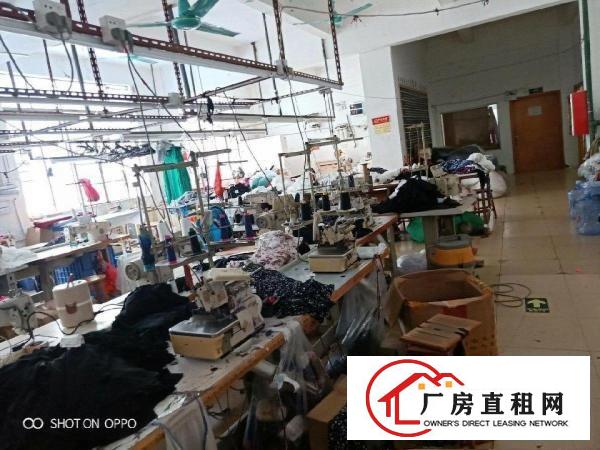 
		龙岗中心城怡丰路厂房400平米
	