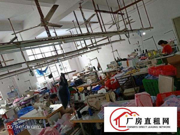 
		龙岗中心城怡丰路厂房400平米
	