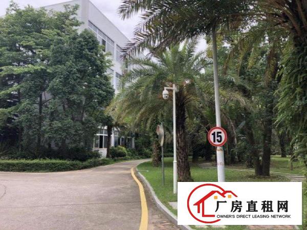 
		南联新出整层1800平方厂房招租精装修办公室和地坪漆
	