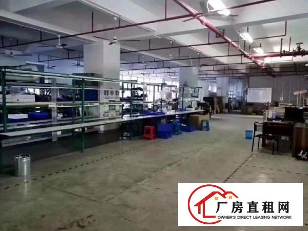 
		南联新出整层1800平方厂房招租精装修办公室和地坪漆
	