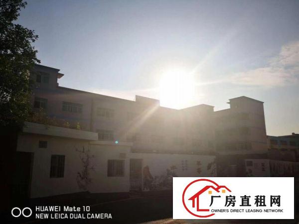 
		龙岗盐龙大道独院厂房6000平出租可办租赁合同可分
	