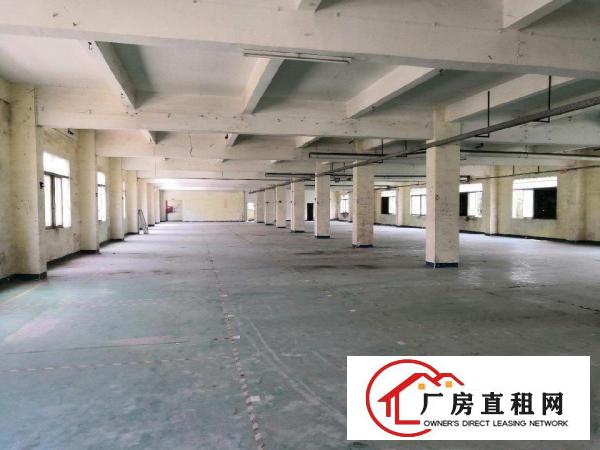 
		龙岗中心城龙岗宝龙厂房12800平米
	