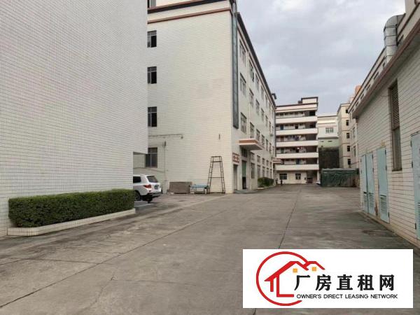 
		宝龙街道同乐浪背大路边，独门独院厂房招租
	