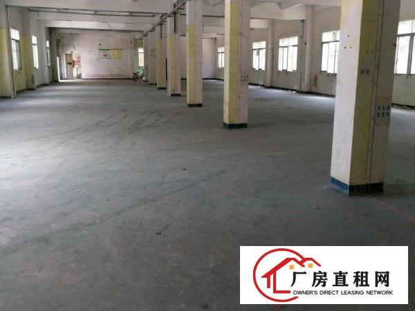 
		龙岗爱联原房东红本4836平厂房出租！可分层租
	